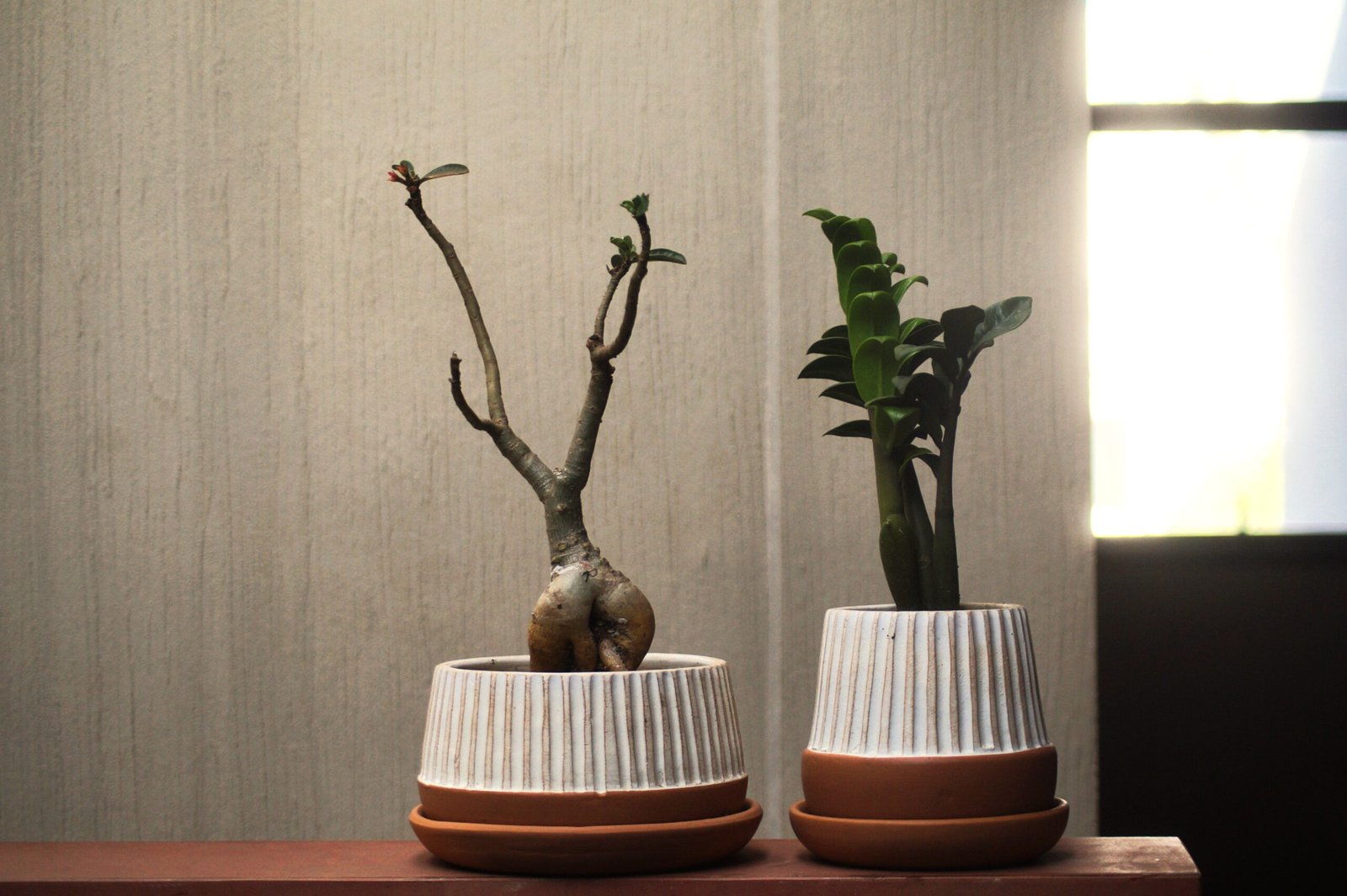 Vertical Engraved Planters - Image 5